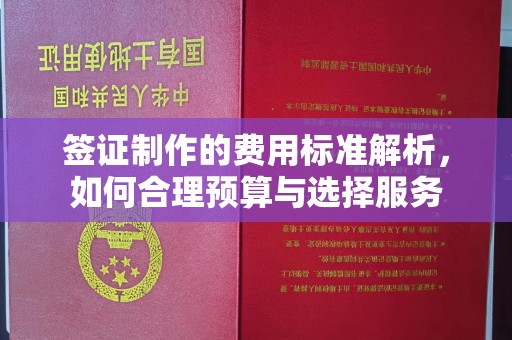鼓山签证制作的费用标准解析，如何合理预算与选择服务