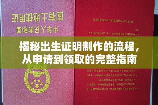 鼓山揭秘出生证明制作的流程，从申请到领取的完整指南